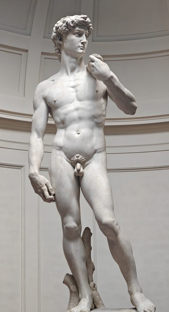 David de Michel-Ange